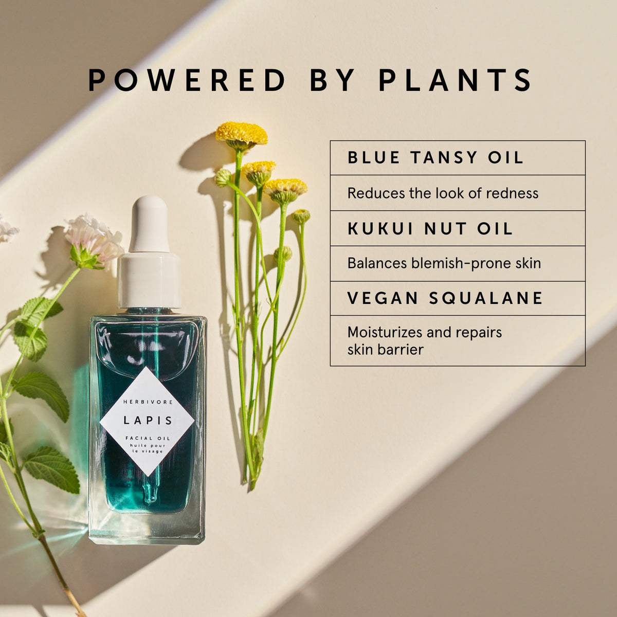 Herbivore Botanicals Lapis Facial Oil - Óleo Facial Equilibrante com Blue Tansy